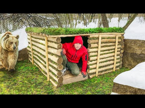 Building a Dugout in a Wild Forest alone. From start to finish