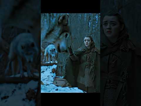Arya Stark Reunites with Nymeria After 7 Long Years #shorts #gameofthrones