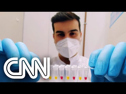 Universidade brasileira desenvolve teste para varíola dos macacos | CNN PRIME TIME