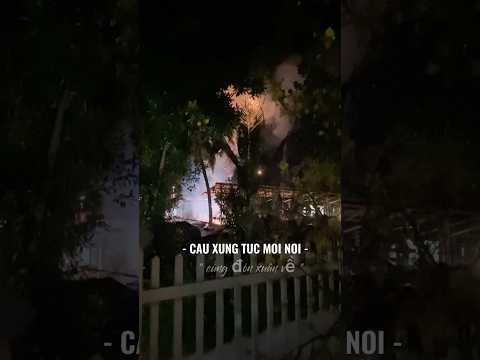 Pháo đã thấp sáng khắp mọi nhà #2025