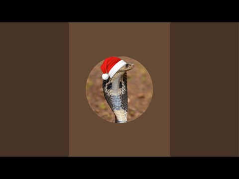 Going to Dominican Republic!(voice reveal maybe?)