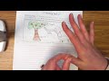 Exploring Topic Sentences in Informative Writing