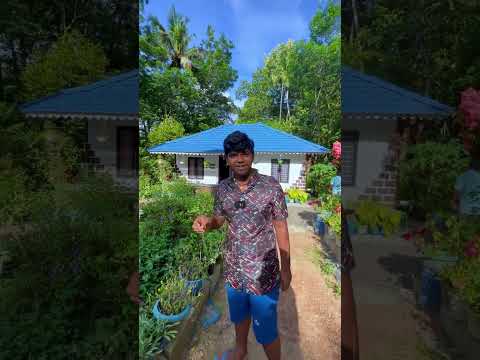എന്റെ വീട് കണ്ടോ....വെറും 7 ലക്ഷം രൂപയ്ക്ക് 14 കാരന്റെ  അതിമനോഹരമായ വീട്?#kerala #newhome #Budget