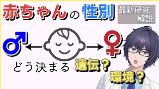 “コイン投げ”じゃなかった!? 赤ちゃんの性別を傾ける遺伝子と環境【最新論文60分ライブ解説】 #たかとー研究室
