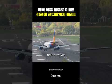 착륙 직후 활주로 이탈한 여객기!! 강풍에 휘청이며 잔디밭까지 돌진!!