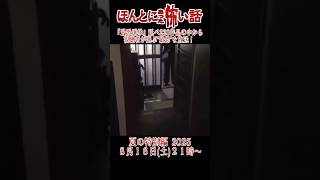 ほん怖2025『最恐選挙』おすすめ恐怖郵便①「訪問者」#ほん怖 #ほんとにあった怖い話 #怖い話 #怖い #ホラー