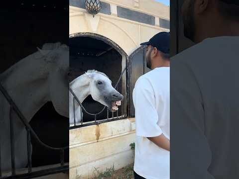 كيف التصرف المناسب ؟!