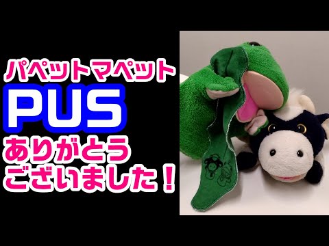 ポップアップストア＆イベント、ありがとうございました！パペットマペット後夜祭雑談生放送🐮🐸