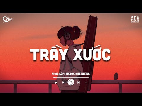 Trầy Xước Lofi - Hồ Hoài Anh | Mỉm Cười Gạt Nước Mắt Đi Mà Sống... Nhạc Lofi Chill Hot Nhất 2025