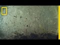 Understanding Ocean Plastic Pollution