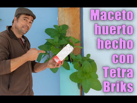 Macetohuerto con Tetrabriks