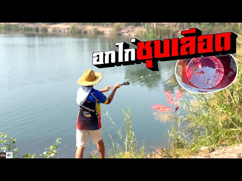 ผีเสื้อของหมิวเชื่อกันทั้งช่องเด็กตกปลา เด็กตกปลา ผีเสื้อของหมิวเชื่อกันทั้งช่องเด็กตกปลา