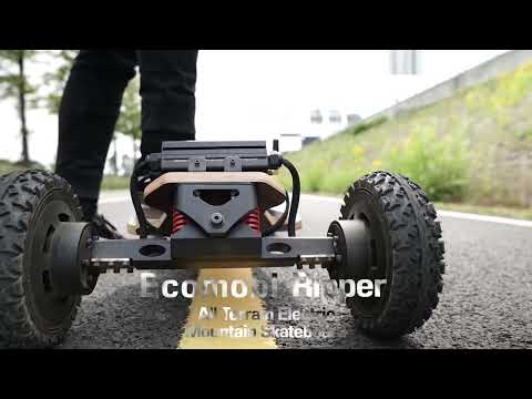 Fast ride Ecomobl Ripper All Terrain Electric Mountain Skateboard  Replaceable battery system