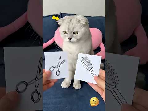 Cat 😍 ~ mini woodtoy-woodworking art skill/ handcrafts/ #ytshorts