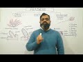 Bird Feather Types and Functions