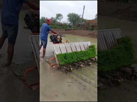 भारत में आ गयी धान लगाने वाली सस्ती मशीन #farming #technology #shorts #facts #explore