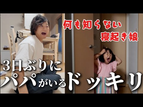 【感動の再会?!】数日離れてたパパが出掛けてる間に帰宅してたら娘の反応は！！！