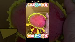 哥～紅寶石上品等級的愛文芒果您吃過嗎？一斤要多少錢啊？