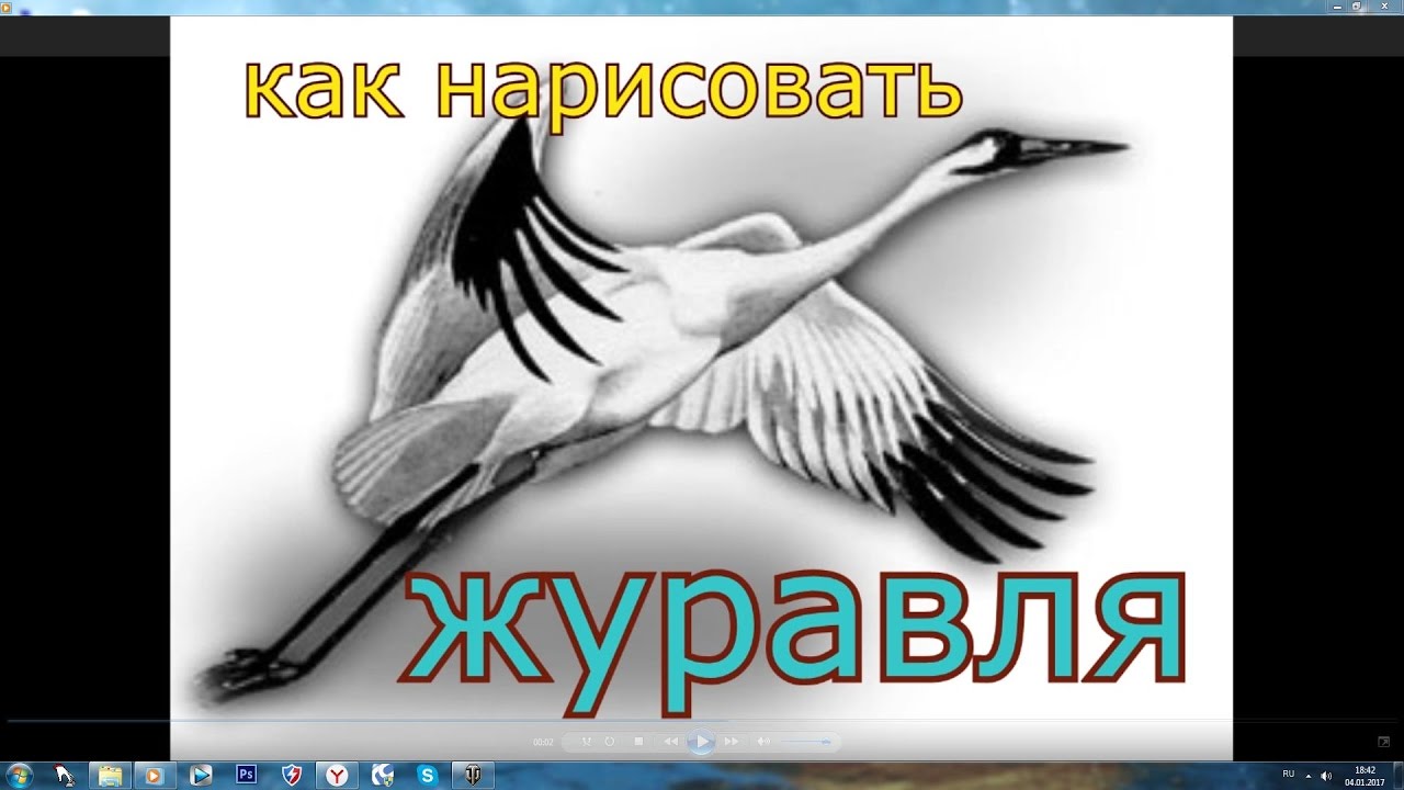 как нарисовать журавля(набросок)
