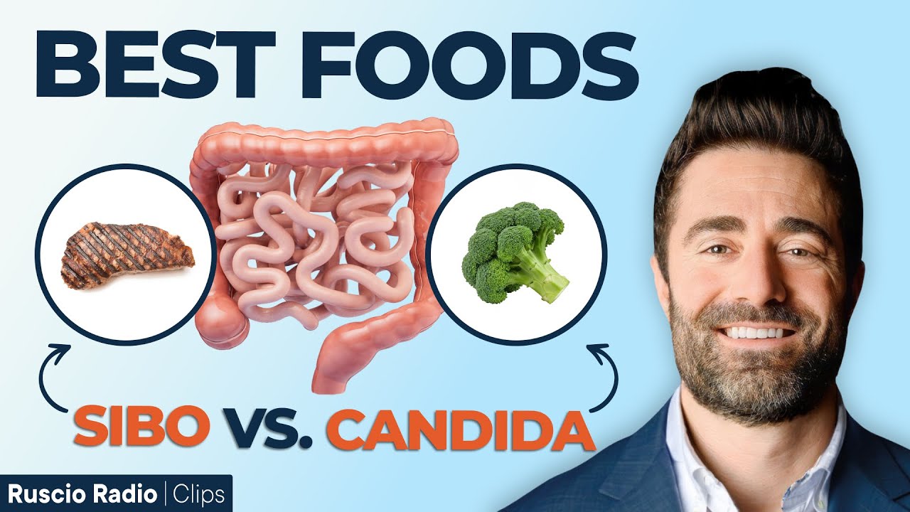 Best Foods For Your Gut Type (SIBO & Candida)