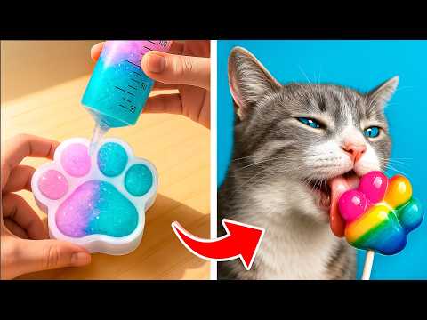 Adoptowałam malutkiego kotka! Zaskakujące porady i triki dla pupili