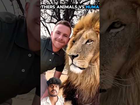Pets Lover♥️ #animals #jungle #hunter #dengerous #pets #aura #shorts #short #lion #bear #anaconda