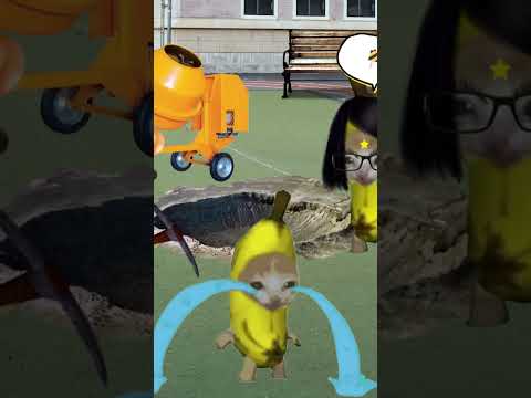 Banana Cat And Happy Cat School Day Part 23  #bananacat #catmemes #catvideos
