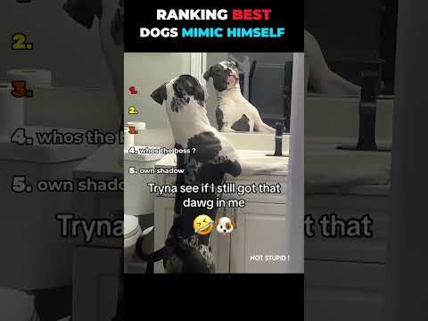 DONT CLICK THE SOUND