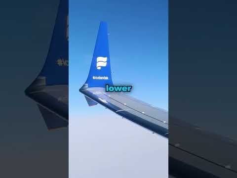 Why Airplane Toilets Sound Like A Cannon 💩