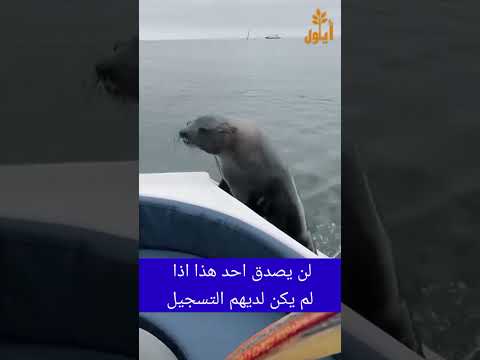 لن يصدق احد هذا اذا لم يكن لديهم التسجيل
