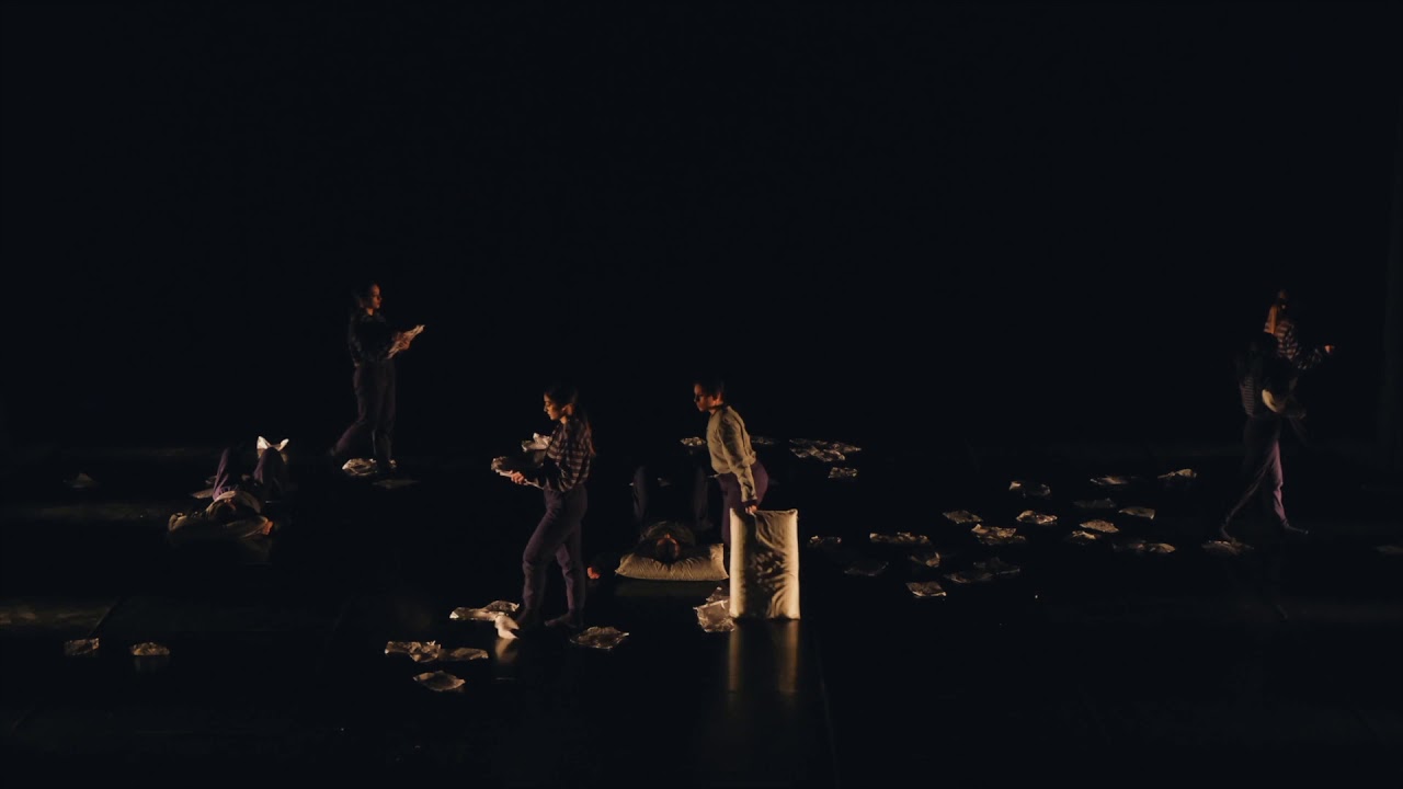 Sinerdancecompany