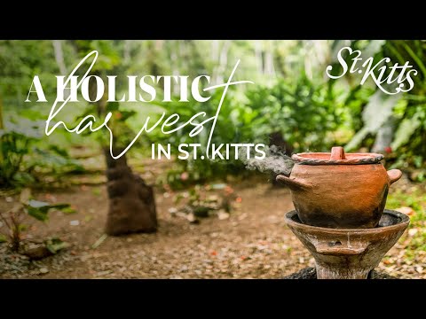 Holistic Harvest in St. Kitts | Liamuiga Natural Farms