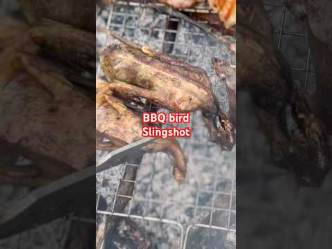 Bird BBQ , #tuấnhayđi #nácaosu