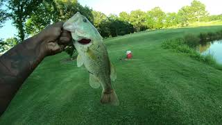 The Zman floating Worm is DEADLY!(BASS CATCHING MACHINE!)