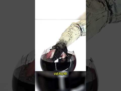 Esse Youtuber Criou uma Gosma que se Comporta como o Venom