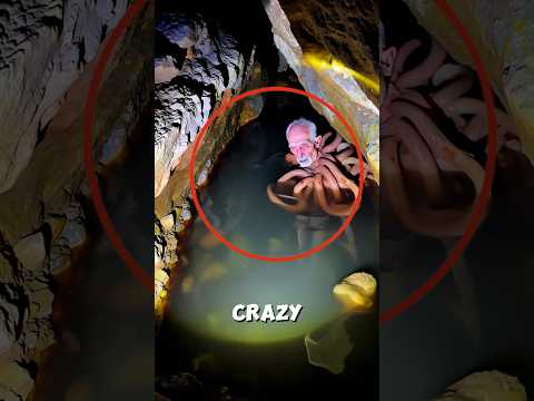 Unknown Creature In Cave😲🐙