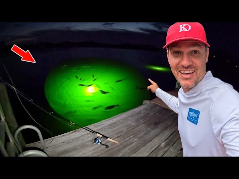 Found a Pier with a Loaded Dock Light! *Catch & Cook*