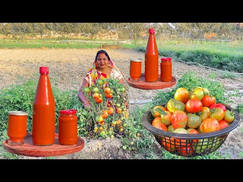 Tomato Sauce Recipe | बाजार जैसी टमाटर सॉस घर पर बनाने की विधि | How To Make Tomato Sauce Recipe