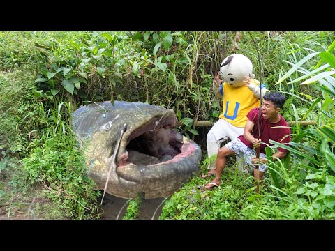 DAPAT IKAN LELE GIGAN DI BEKAS KOLAM TERBENGKALAI 150 TAHUN?!