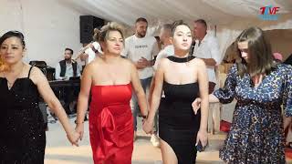 Colajul care rupe internetul - Cel mai al dracu colaj de joc - Colaj de petrecere Bomba - LIVE 2025