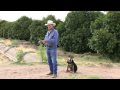 Citrus farmer Teaches Arizona Water History