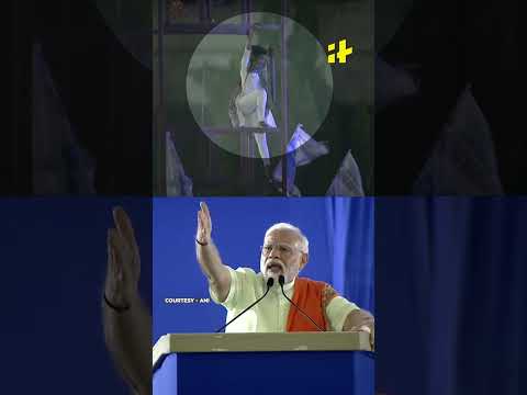 Woman Climbs Pole At PM Modi’s Speech, PM Asks Her To Get Down