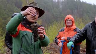 Beuthenfall wird Wald der Zukunft