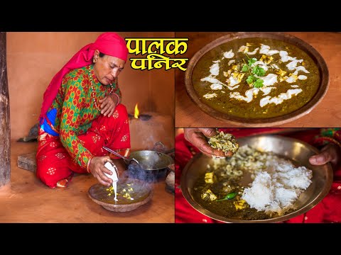 Restaurant Style Palak Paneer in Village Kitchen || पालक पनिरसँग जर्नेली भात यसरी मज्जाले खाईयो