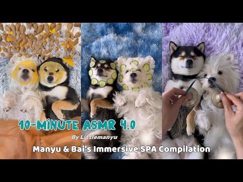 【10-Minute ASMR 4.0】Manyu & Bai's Immersive SPA Collection | Sleep & Relaxation