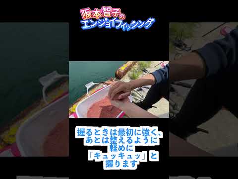 チヌ「カセ釣り」で釣果倍増！？チヌダンゴの水中展開とは💥