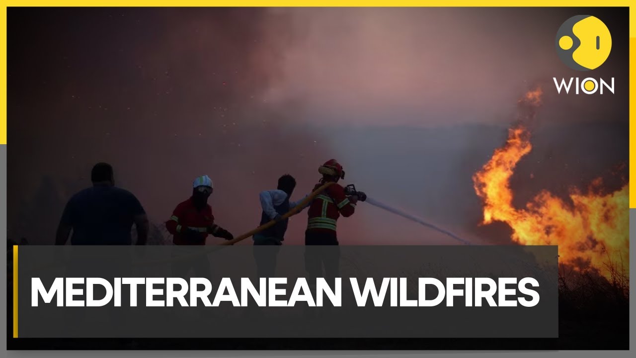 Wildfires spreading across Mediterranean nations, Turkiye feels the wrath