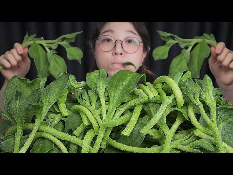 아삭아삭 촉촉한 아이스플랜트🌿Mukbang eating show