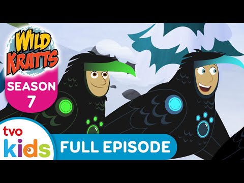 WILD KRATTS – Clever The Raven 🪶 NEW Season 7 (2023) ✨FULL EPISODE on TVOkids!