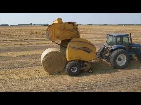 Best of 2022 - Dairy Farming in Saskatchewan